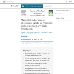 Science of The Total Environment Volume 758, 1 March 2021, Magnetic biochar reduces phosphorus uptake by Phragmites australis during heavy metal remediation