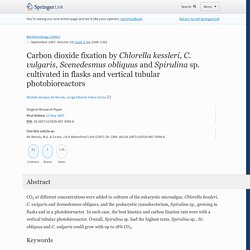 Carbon dioxide fixation by Chlorella kessleri, C. vulgaris, Scenedesmus obliquus and Spirulina sp. cultivated in flasks and vertical tubular photobioreactors