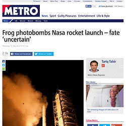 Frog photobombs Nasa LADEE rocket launch at Wallops, Virginia