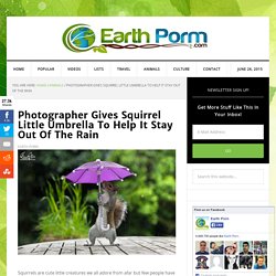 Photographer Gives Squirrel Little Umbrella To Help It Stay Out Of The Rain