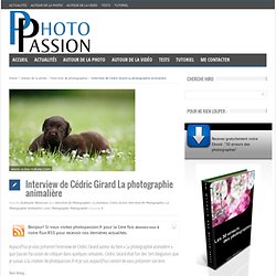 Interview de Cédric Girard "La photographie animalière"