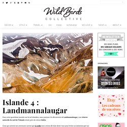 Wild Birds Collective » Blog lifestyle, décoration, diy, photographie, voyage, mode… » Islande 4 : Landmannalaugar