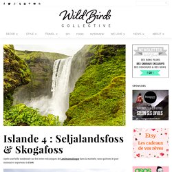 Wild Birds Collective » Blog lifestyle, décoration, diy, photographie, voyage, mode… » Islande 4 : Seljalandsfoss & Skogafoss