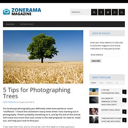 5 Tips for Photographing Trees