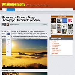 Showcase of Fabulous Foggy Photographs for Your Inspiration