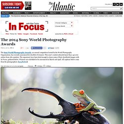 The 2014 Sony World Photography Awards - In Focus