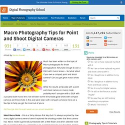 Macro Photography Tips for Point and Shoot Digital Cameras