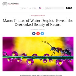 Macro Photography Reveals Water Droplets as Miniature Works of Art click 2x