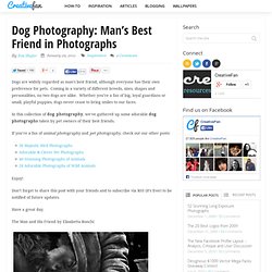 Dog Photography: Man’s Best Friend in Photographs