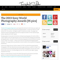 The 2013 Sony World Photography Awards [35 pics]
