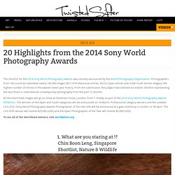 20 Highlights from the 2014 Sony World Photography Awards