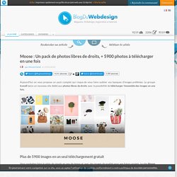 Moose : Un pack de photos libres de droits, + 5900 photos à télécharger en une fois