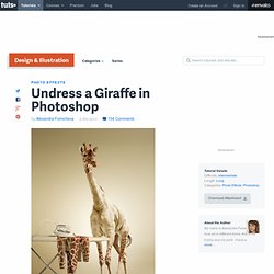 Undress a Giraffe in Photoshop