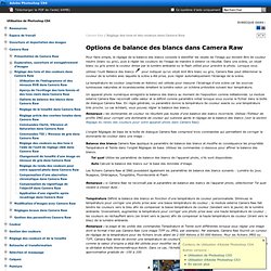 Adobe Photoshop CS4 * Options de balance des blancs dans Camera Raw