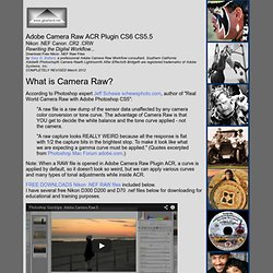 Adobe Camera Raw Photoshop Plugin ACR WORKFLOW CS4 CS3 Tutorial Nikon D300 D200 Review Workflow D70s