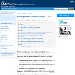 Photosynthesis - some Activities