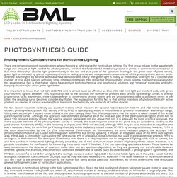 Photosynthesis Guide and Information