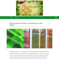 Photosynthesis and dye-sensitized solar cells (DSSC) - Blogionik