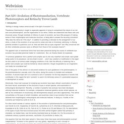 Part XIV: Evolution of Phototransduction, Vertebrate Photoreceptors and Retina by Trevor Lamb