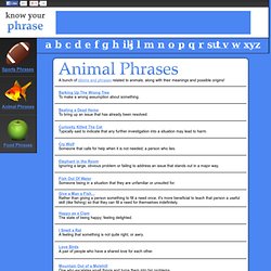 Animal Phrases - Dog and Cat Sayings, Their Meanings and More!