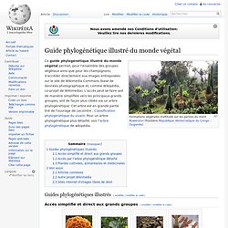 Guide phylogénétique illustré du monde végétal