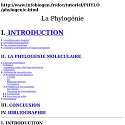 Phylogénie