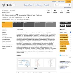 Phylogenomics of Prokaryotic Ribosomal Proteins