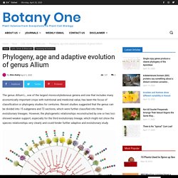 Phylogeny, age and adaptive evolution of genus Allium