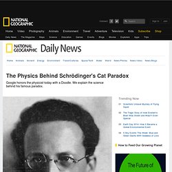 The Physics Behind Schrödinger's Cat Paradox