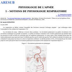 PHYSIOLOGIE DE L'APNEE : NOTIONS DE PHYSIOLOGIE RESPIRATOIRE