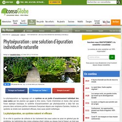 Phytoépuration : une solution d’épuration individuelle naturelle
