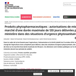 Produits phytopharmaceutiques : autorisations de mise sur le marché d'une durée maximale de 120 jours délivrées par le ministère dans des situations d'urgence phytosanitaire