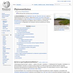 Phytoremédiation