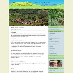 Phytothérapie - Association FredoBio - Contre l'uniformité des goûts et des couleurs