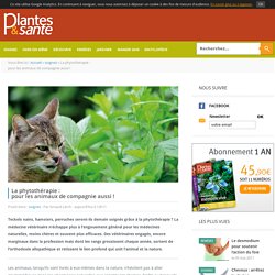 Plantes et santé - Magazine de la phytothérapie - La phytothérapie : pour les animaux de compagnie aussi !