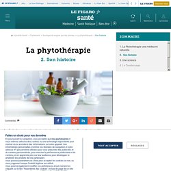 La phytothérapie - Son histoire - Fiches santé et conseils médicaux