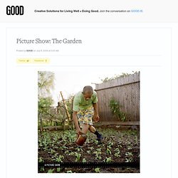 Picture Show: The Garden - - GOOD