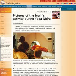 Pictures of the brain's activity during Yoga Nidra / Bindu 11 / Issues of Bindu / Articles