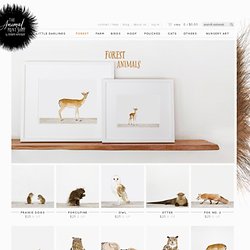 Pictures of Forest Animals
