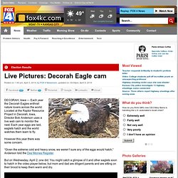Live Pictures: Decorah Eagle cam