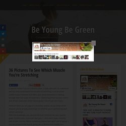 36 Pictures To See Which Muscle You’re Stretching - Be Young Be Green