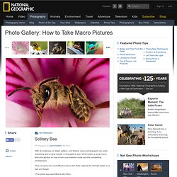 How to Take Macro Pictures