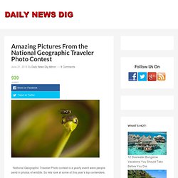 Amazing Pictures From the National Geographic Traveler Photo ContestDaily News Dig