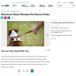 Pictures: Risky Pet-Owner Mistakes: Fat Cats, Ticks, Fleas, and More