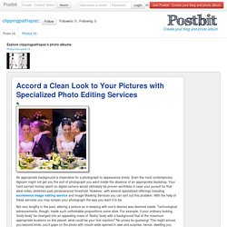 Accord a Clean Look to Your Pictures with Specialized Photo Editing Services