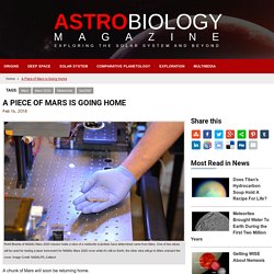 A Piece of Mars is Going Home - Astrobiology Magazine