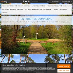 la Pierre Torniche - en forêt de Compiègne