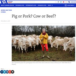Pig or Pork? Cow or Beef?