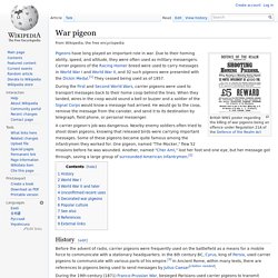 War pigeon