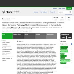 RNAi Screen for Pigment Disorders